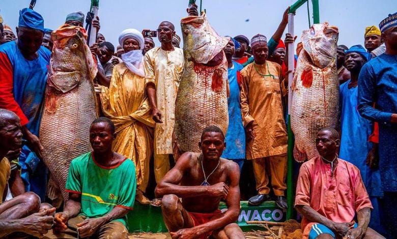 The Argungu Fishing Festival